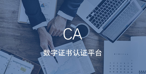 shuzi0001 首页- k8凯发集团中国官方网站